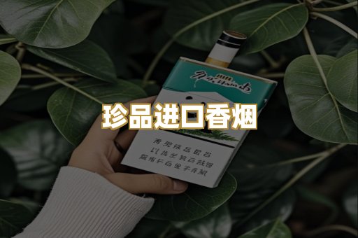 珍品进口香烟